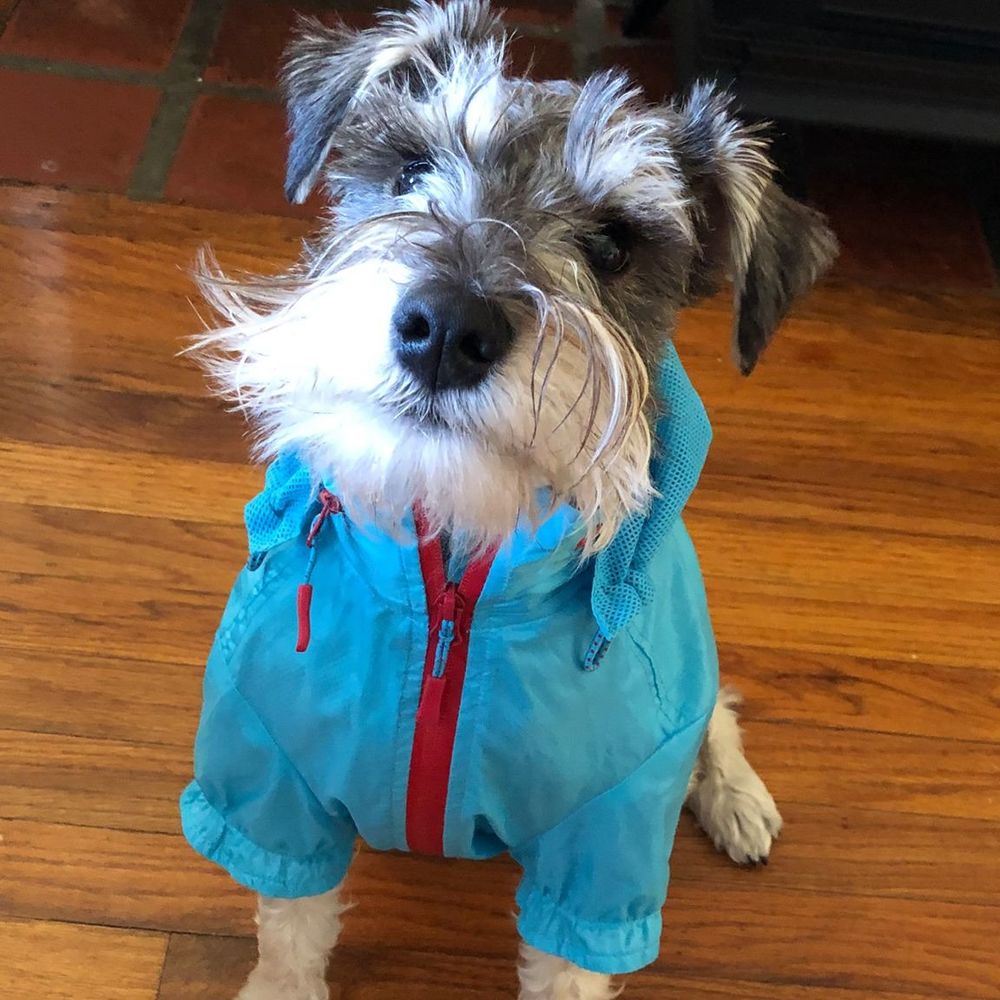 Meet your Posher, Kb